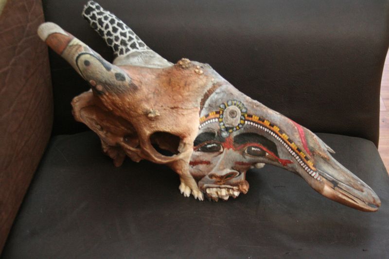 Side View of Painting on Giraffe Skull