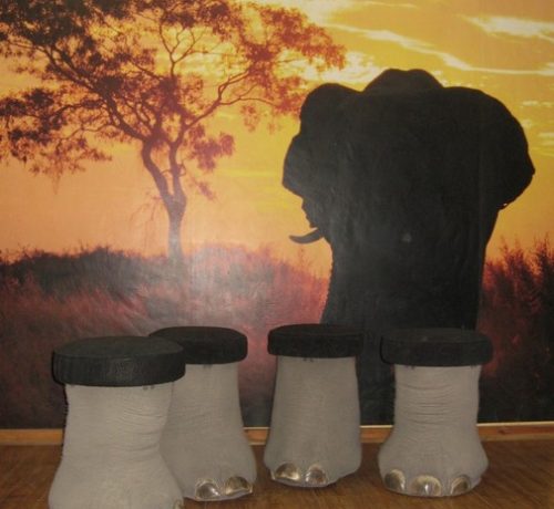 Elephant Feet Footstools