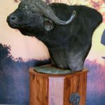Buffalo Head Pedestal