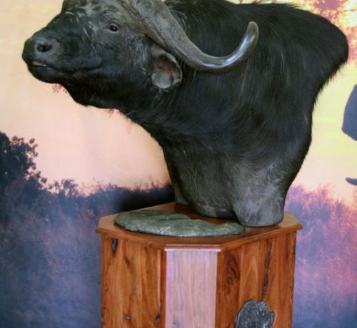 Buffalo Head Pedestal