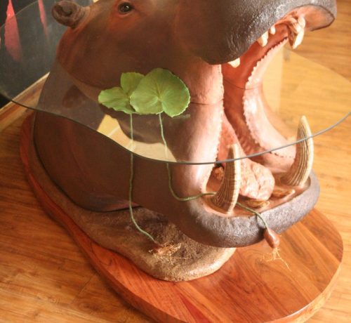 Hippo Coffee Table
