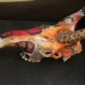 Giraffe Side View of Skull