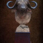 Buffalo Pedestal