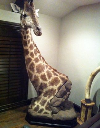 Giraffe Pedestal