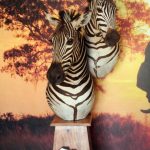 Zebra Duo Pedestal