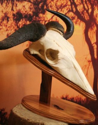 Wildebeest Natural Desk Pedestal