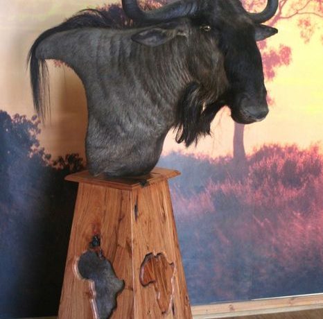 Wildebeest Pedestal Mount