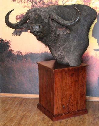 Buffalo Pedestal Mount