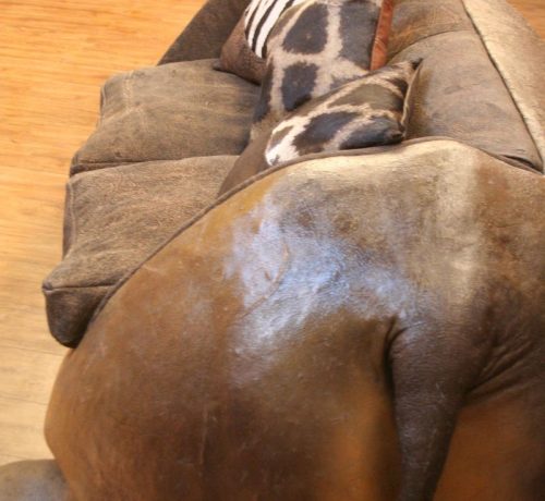 Hippo Sofa