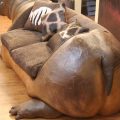 Hippo Sofa Side