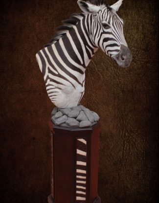 Zebra Natural Pedestal