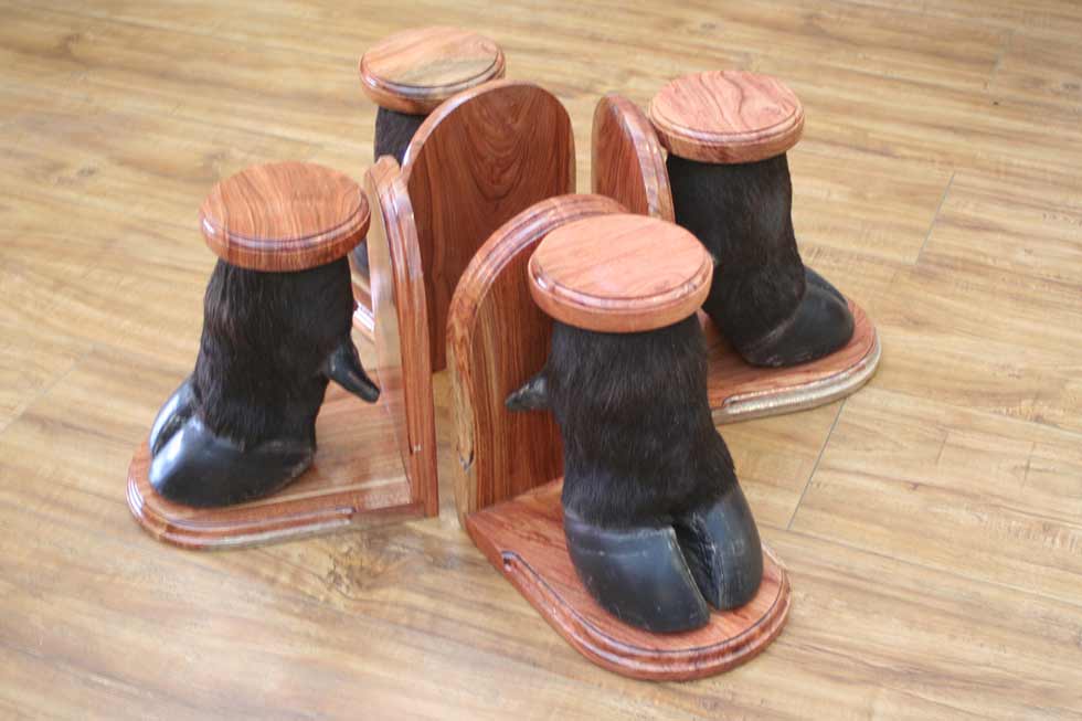 Buffalo Feet Book Ends