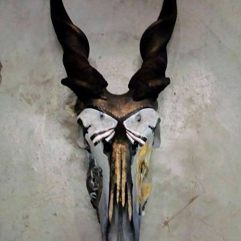 Enemy-Of-The-Savannah-On-Eland-Skull-In-Bronze-Main