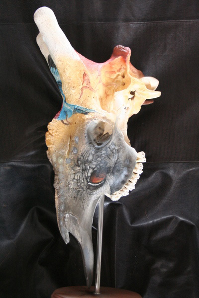 elephant-lioness-and-roller-on-giraffe-skull-3