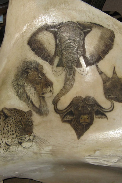 elephant-shoulder-blade-scrimshaw-big-five