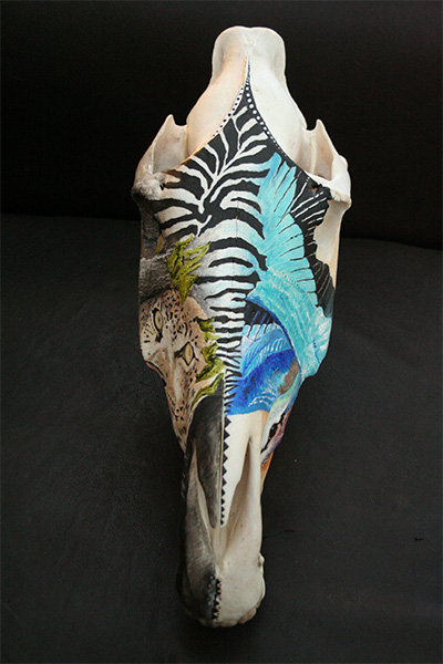 leopard-and-roller-on-zebra-skull