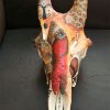 tribal-colors-on-a-giraffe