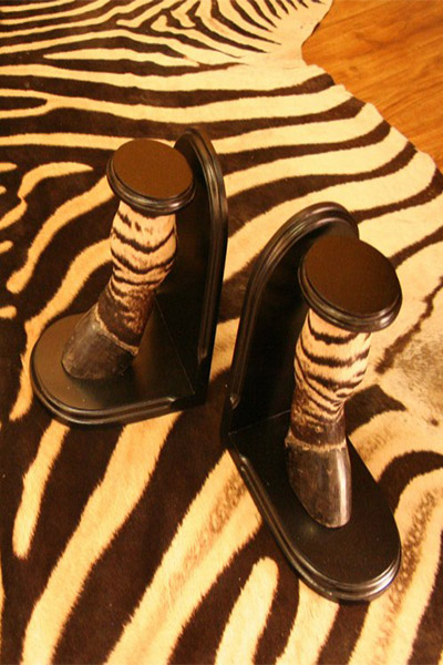 zebra-feet-book-ends