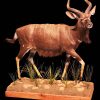 Nyala-Full-mount-in-motion-Gallery1