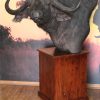 Buffalo Pedestal Sharp Turn main image