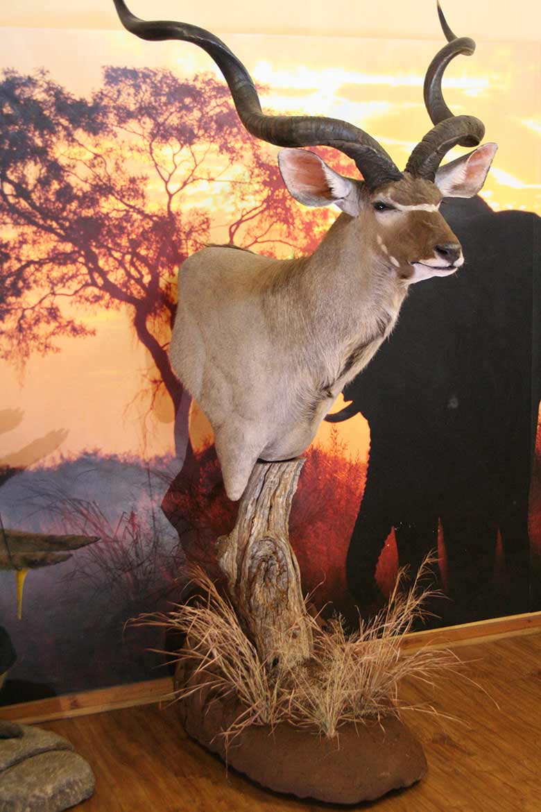 Kudu Pedestal On Log Post gallery 1